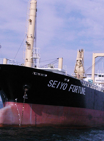 MV.SEIYO FORTUNE